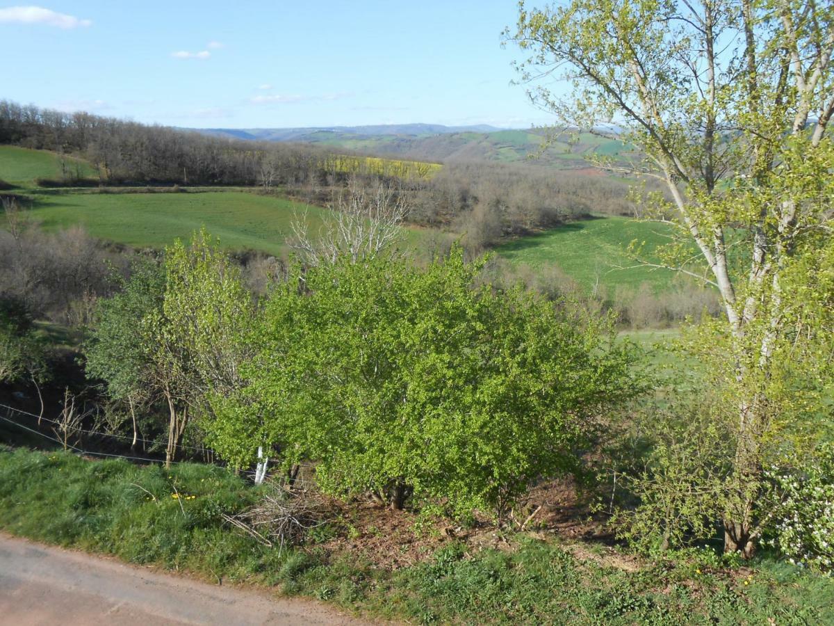 Chambre d'hôtes des Monts Saint-Izaire Extérieur photo